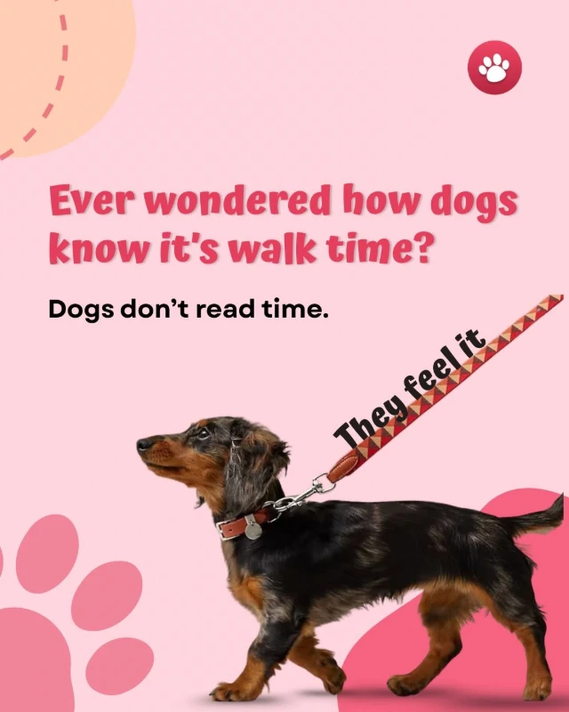 Ad Cover Image