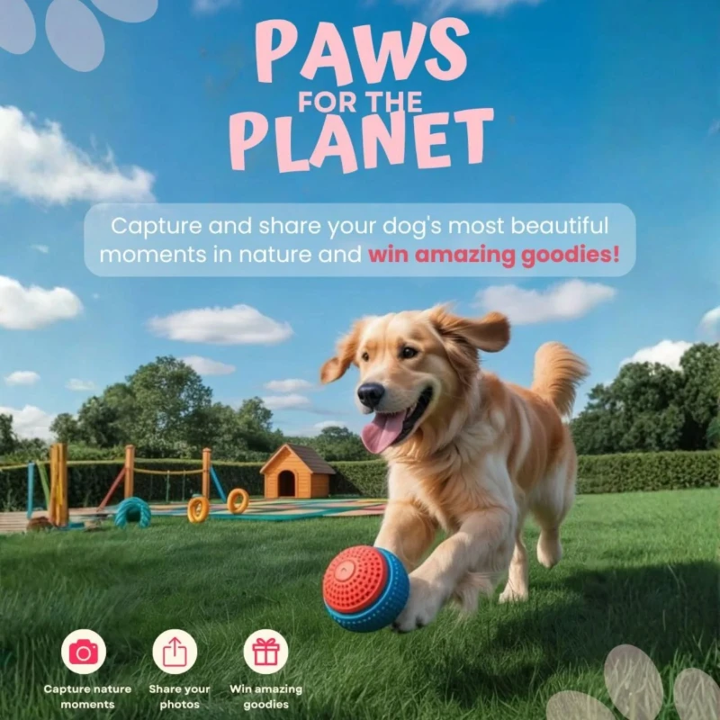 Ad Cover Image