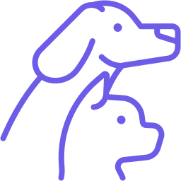 Pets